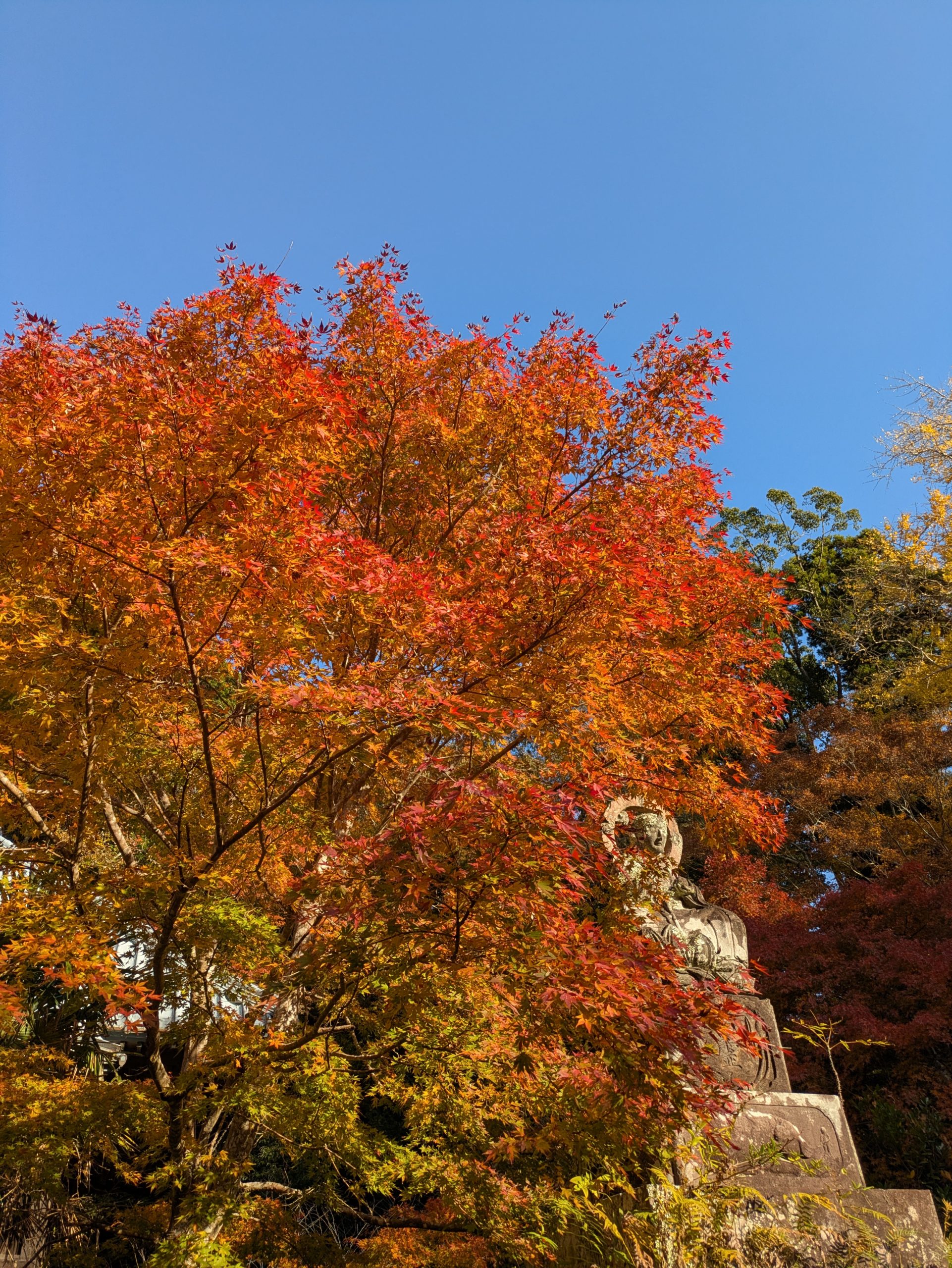 PXL_20251124_050533796