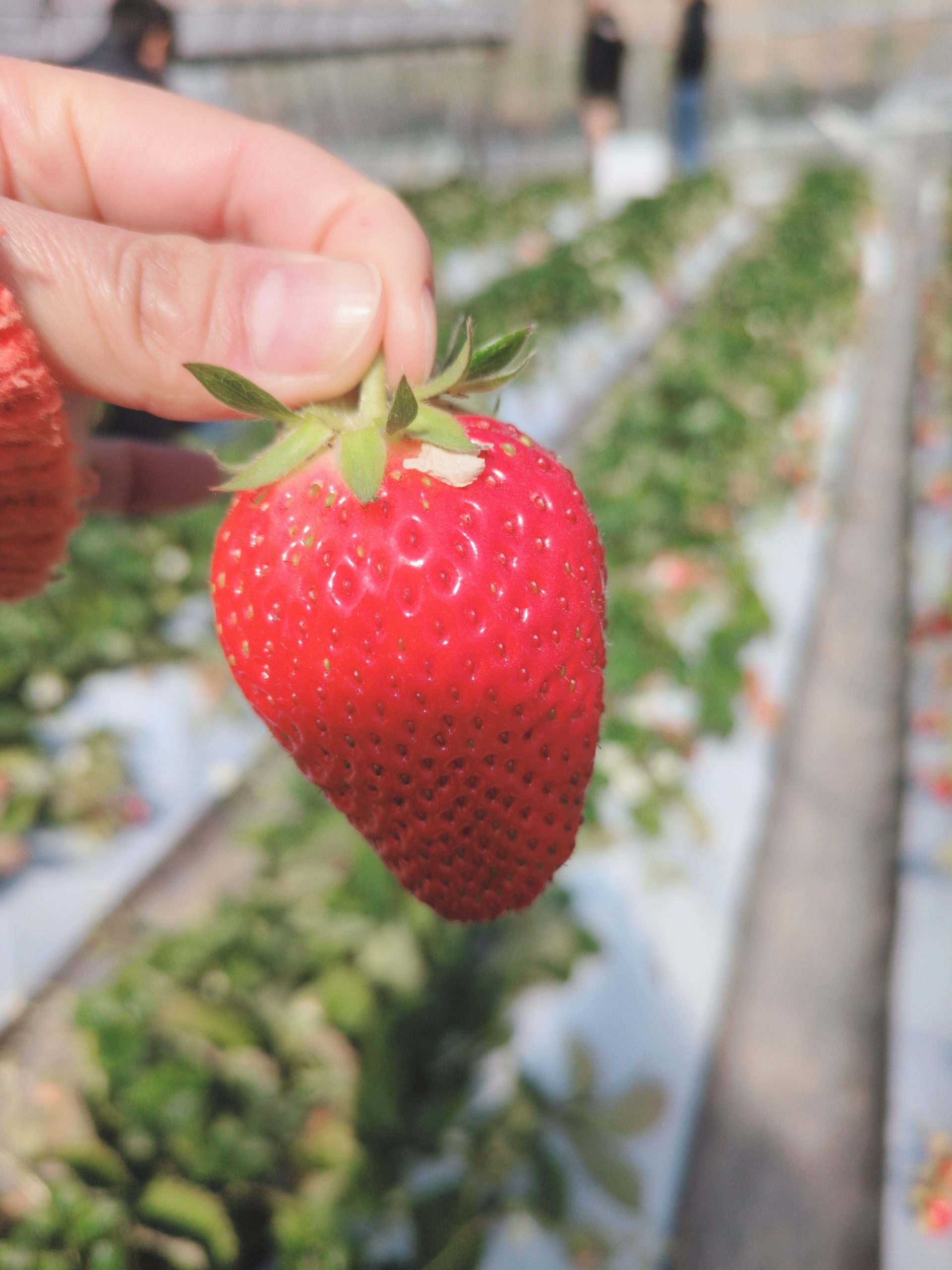 beauty_20260308103645